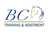 BC Horse Training 