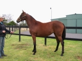 The good type Sujet returns this afternoon