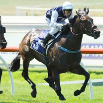 Noske to Reign Supreme