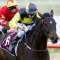 Dawn Approach gets his chance here