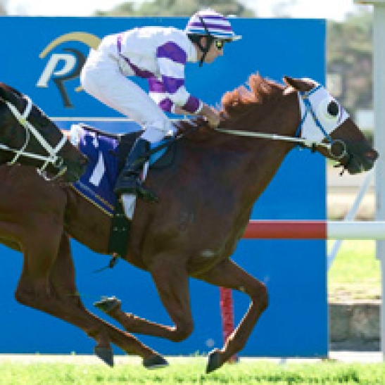 The Speedsters open the day over the flying five furlongs