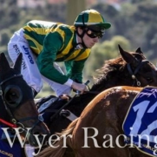 Friar or Flyer