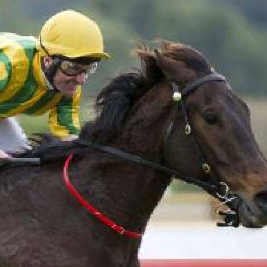 Ascot Preview, March 2nd