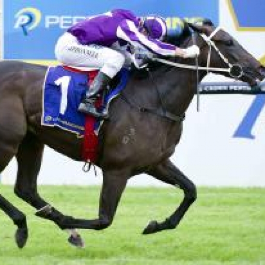Balmont Girl and Real Love certainly add interest to the St Leger