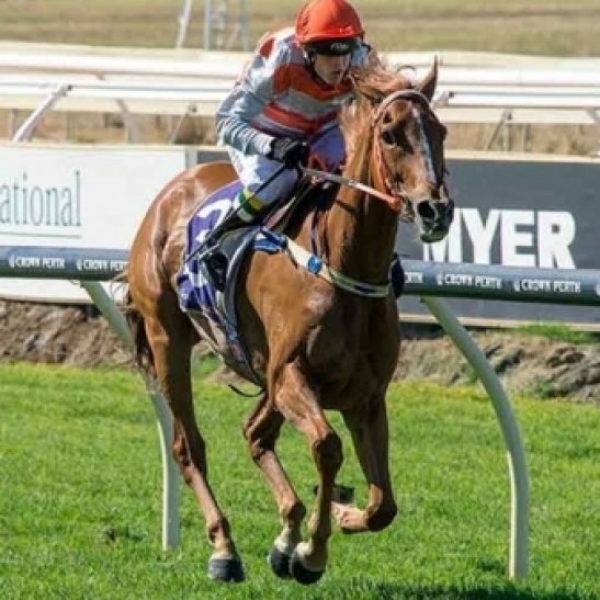Kirov Boy by 10 lengths to the corner