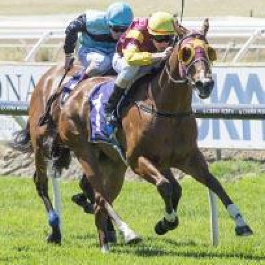 Ascot Preview, 16th February
