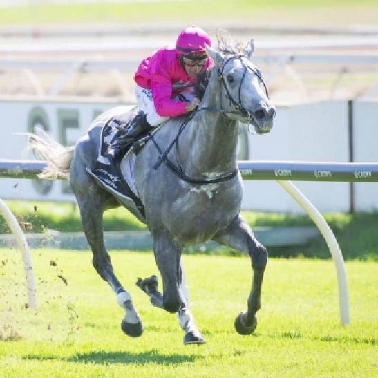 Ascot Preview, 6th April